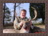 Justin's Buck